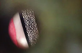 XXX Hojny dżentelmen jest hojny jak jego ostry sex filmik kochanka.